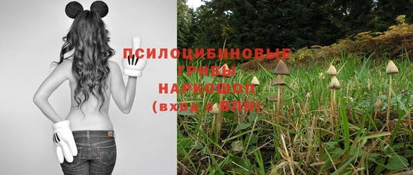 эйфоретик Инта