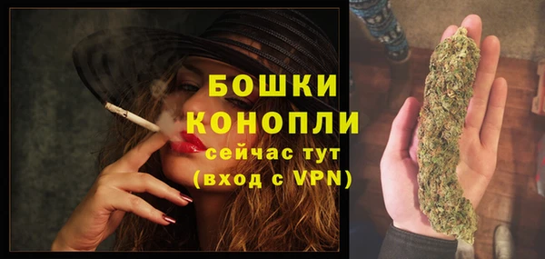 эйфоретик Инта